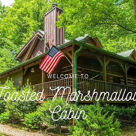 Pigeonforge Cabin Game Roomdog Friendlyhot Tub Pigeon Forge Exteriér fotografie
