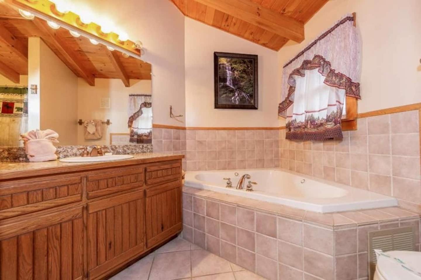 Pigeonforge Cabin Game Roomdog Friendlyhot Tub Pigeon Forge Exteriér fotografie