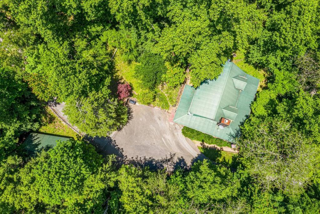 Pigeonforge Cabin Game Roomdog Friendlyhot Tub Pigeon Forge Exteriér fotografie